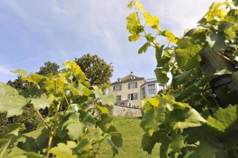 Hotel Arenenberg — foto 6