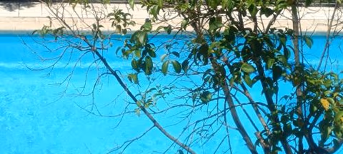 Sol de Poniente — foto 1