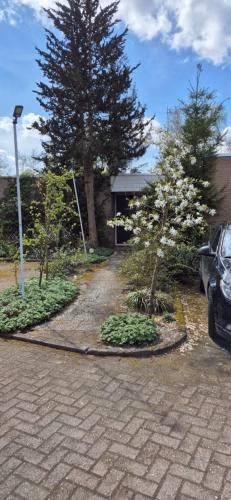 Hof van Sellingen — foto 6