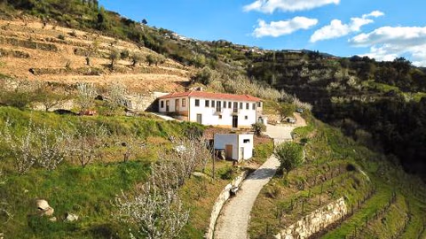 Quinta do Fojo Valonguinho, Barrô — photo 3