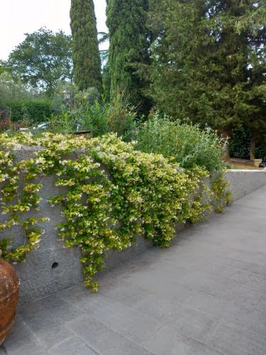 Poggio Gherardo — photo 7