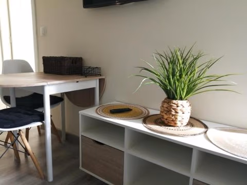 Carolina Studio — foto 2