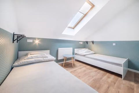 Dizzy Daisy Hostel — foto 4