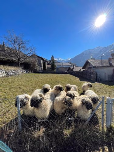 Stay in the Heart of Wallis — foto 5