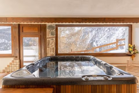 Hotel Des Alpes — foto 4