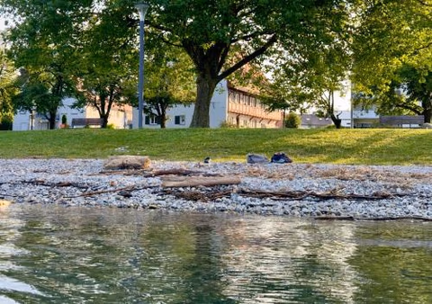 SeeHotel Amtshof — foto 5