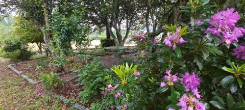 Solar dos Araújo Coutinho - Casa dos Cavaleiros - Turismo Habitação — foto 8