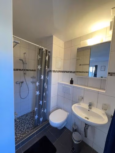 Haus zum Rütli — foto 6