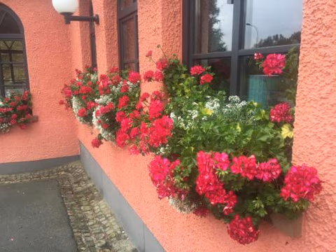 Landhotel am Wenzelbach — photo 4