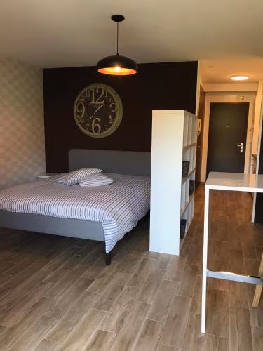 Large Studio Near Epfl And Lausanne City Center — foto 7