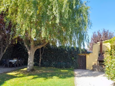 El Molino — foto 2