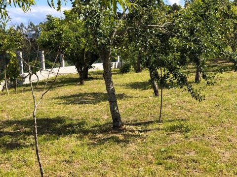 Casa Estrella — foto 4