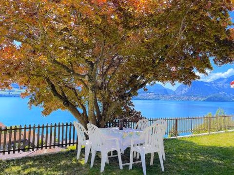 Lake Thun Alps Scenic Views and Concierge by SwissHut — foto 7