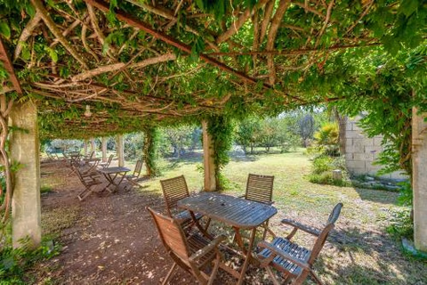 Masseria Copertini — foto 9