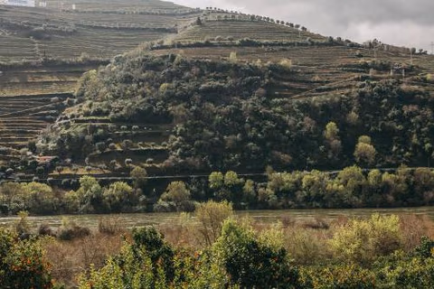 Torel Quinta da Vacaria - Douro Valley — photo 9