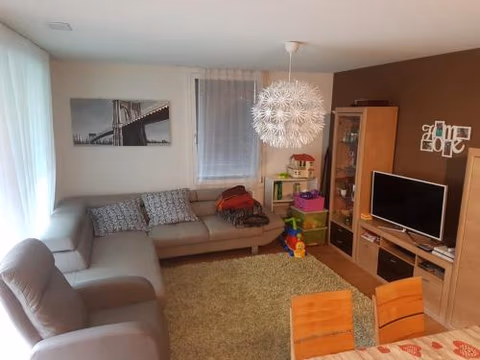 Realp-Andermatt 3,5 locali giardino privato In mezzo la natura, spettacolare per appassionati montanbike, pesca ecc In inverno fai sci di fondo dal giardino e con il treno davanti a casa si raggiunge in 5min il comprensorio scistico di Andermatt — foto 3