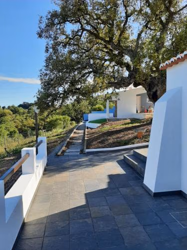 Herdade de Vale Maceiras — foto 4