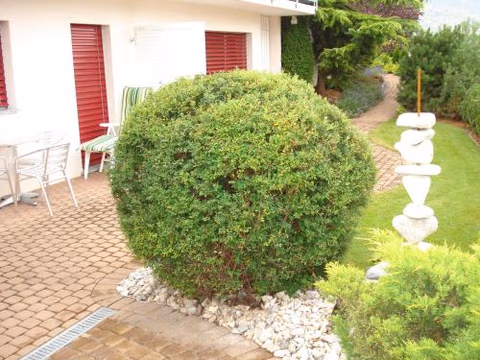 Ferienwohnung Lenggenhager Plantzette — foto 7