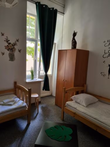 Green Cat Rooms — foto 2