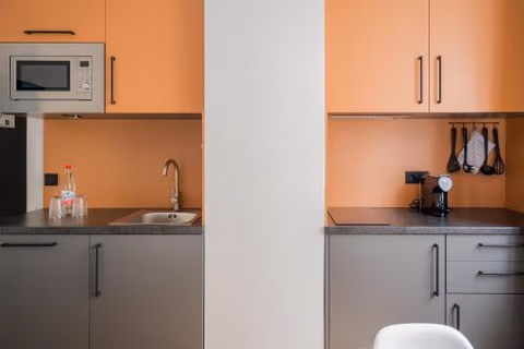 Homaris Apartments Nibelungen — photo 7