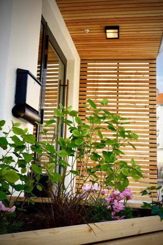 Hotel Merian — foto 8