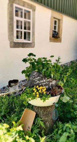 Hotel Neue Höhe — photo 7