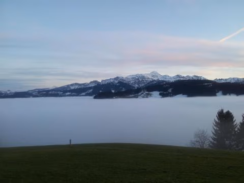 Hotel Garni Traube B&B — foto 8