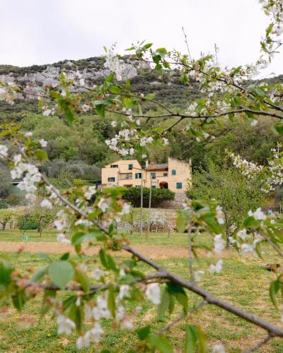 Agriturismo Alveare — photo 1
