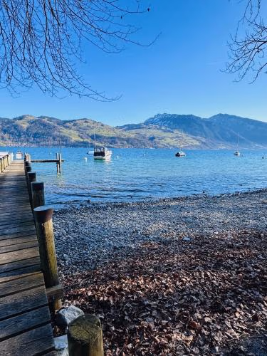 CapoBnB 2min zum See, nahe Interlaken, Garten — foto 9