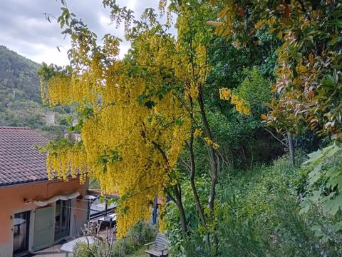 Les Terrasses du Verger — foto 7