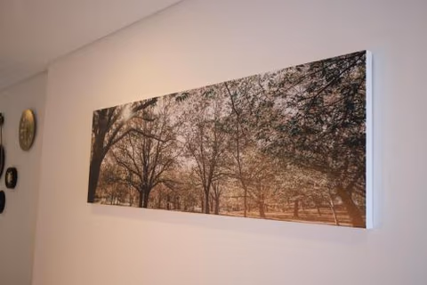 Casas Martainha — photo 9