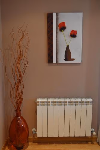 Apartamento Nuevo Baztan — photo 3