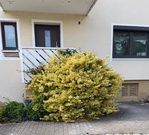 Neu umgebaute Ferienwohnung Seefried — foto 9
