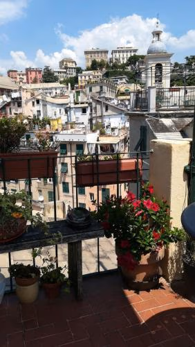 IL GECO — foto 6