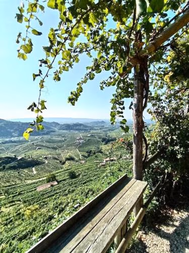 Relax nelle colline del Prosecco — foto 3