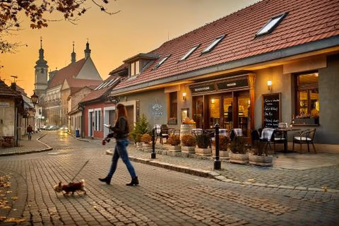 Pension & Restaurant PATRIOT Trnava — photo 4