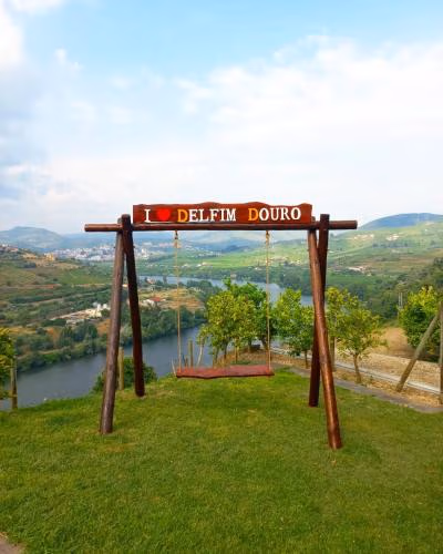 Delfim Douro Hotel — foto 2