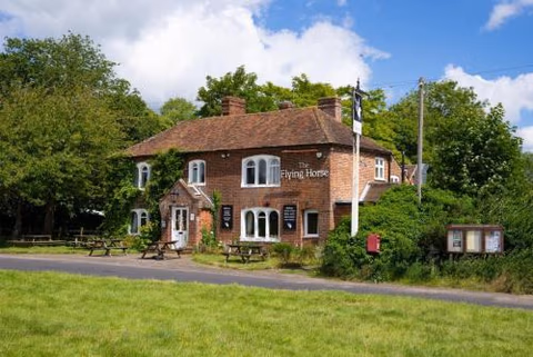 The Flying Horse Inn — foto 1