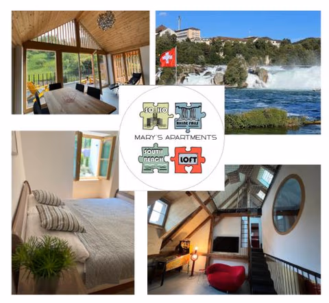 MARYS family friendly Apartments,VISIT RHINE FALLS for FREE if you stay 2 nights, SOHO 95m2 2-Bedrooms 2nd floor & SOUTH BEACH 105m2 3-Bedrooms & LOFT 115m2 3-Bedrooms Suite with Galerie,LOFT Netz 20m2, Pinball, Schaffhausen-Hemmental, Rheinfall 10 km — foto 5