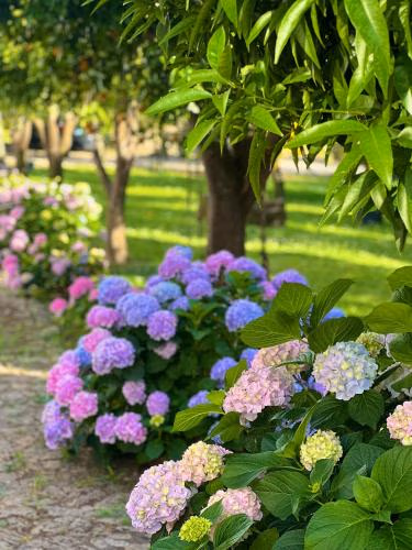 Quinta da Salada - Turismo Rural — foto 4