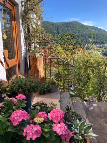 Ferienwohnung mit Weitblick — photo 4