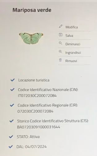 Mariposa verde — foto 8