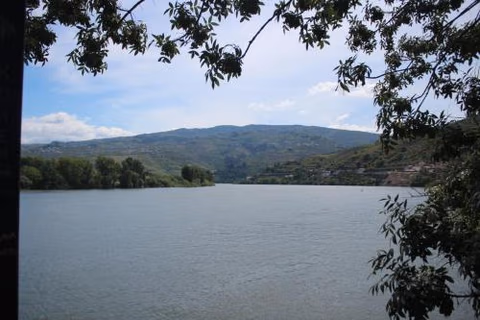 LB Douro — foto 5