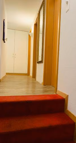 Swiss Dewa — foto 8