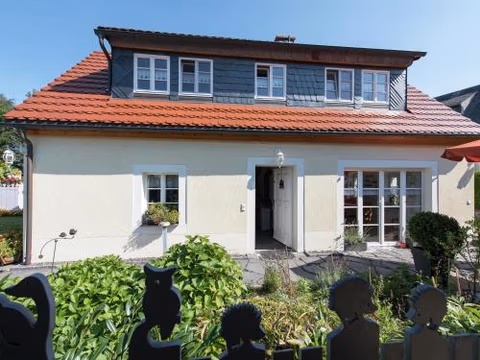 Comfortable holiday home in Saxony with terrace — foto 1