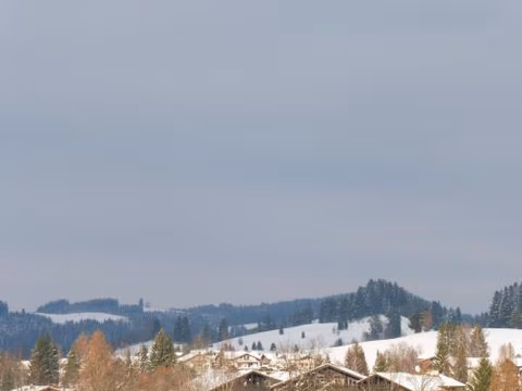 Grün und herzlich — foto 4
