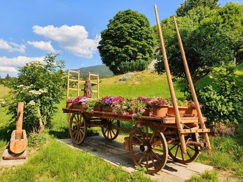 Gîte de la Motte — foto 6