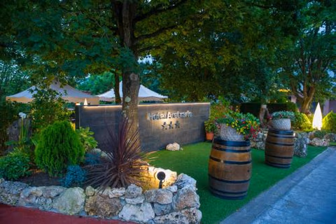 Hotel Aretxarte — foto 5