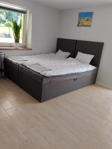Apartament z ogrodem — photo 2
