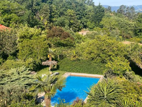 Quinta de Ribas — foto 1